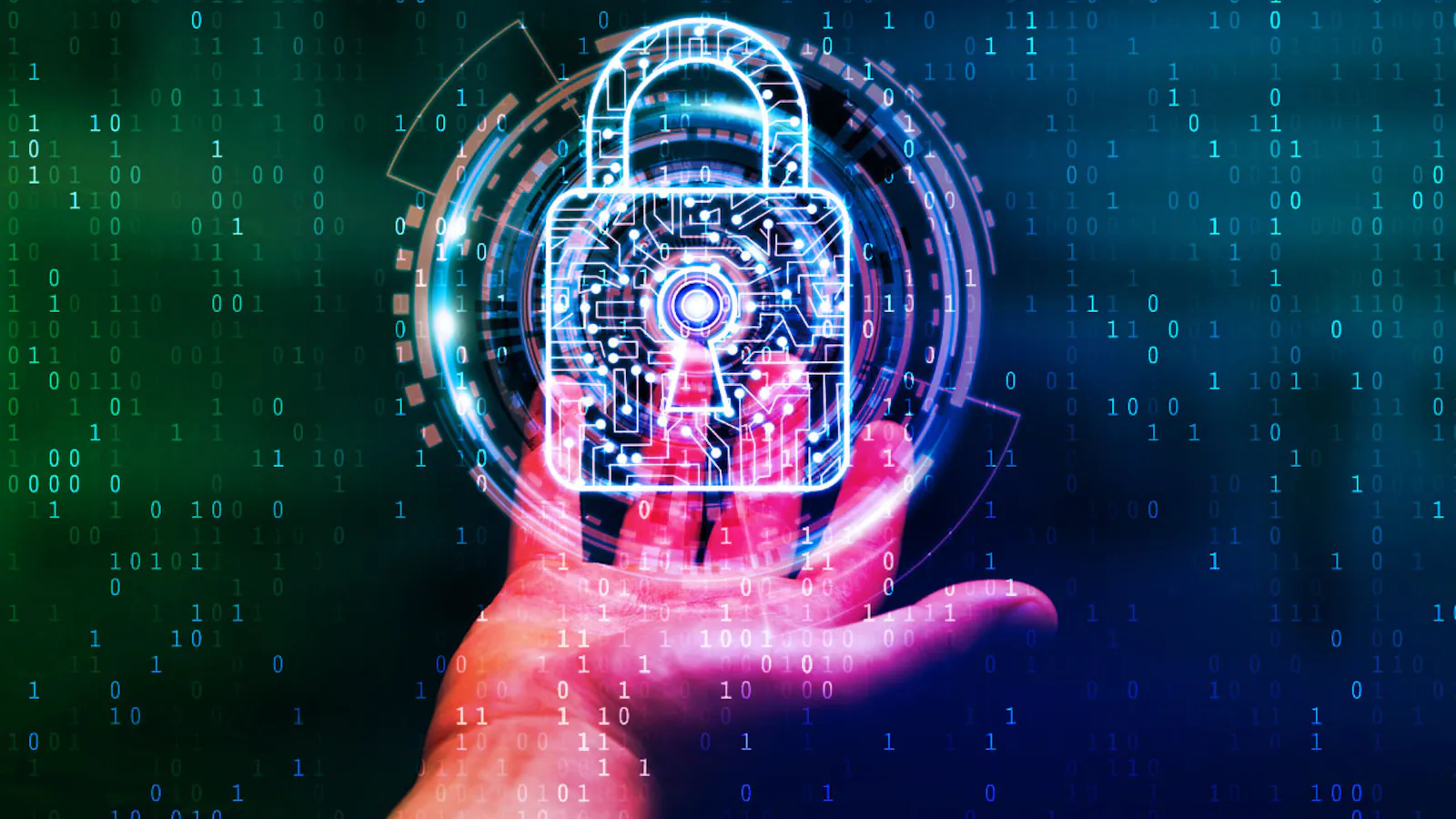 https://www.waypurple.com/